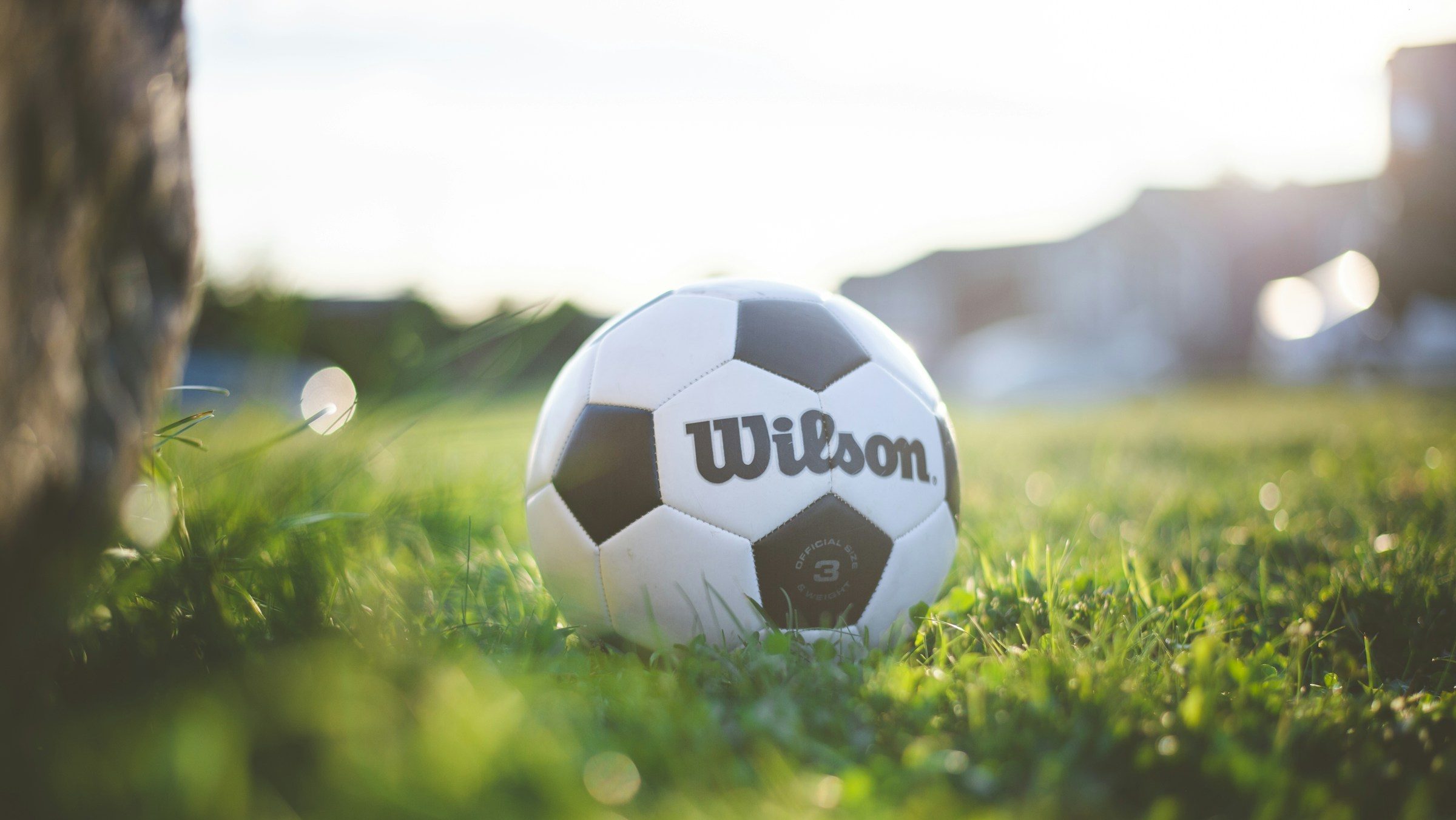 Wilson soccer ball in a field on a sunny day